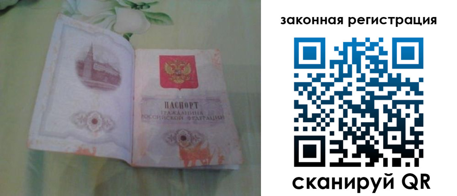 прописка в Елизово