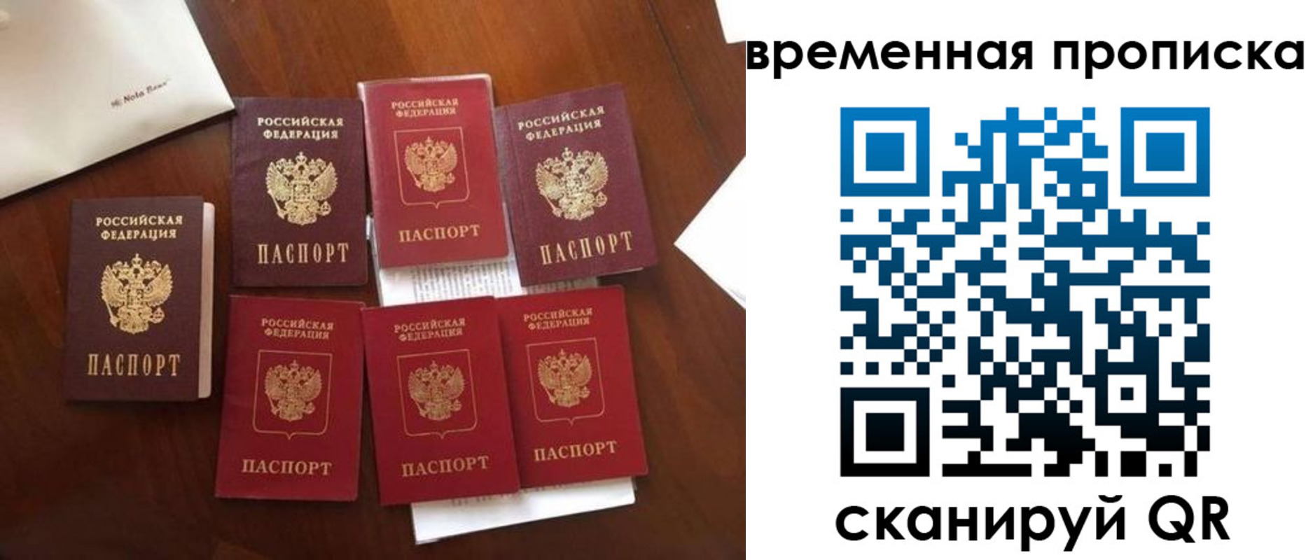 где прописаться в Елизово